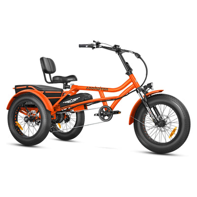 Addmotor Arisetan II M-360 Electric Trike 6 Months Free Service