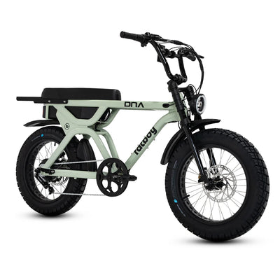 Fatboy The DNA V3 eBike 6 Months Free Service