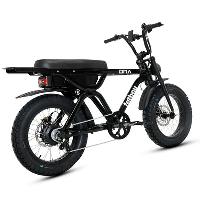 Fatboy The DNA V3 eBike 6 Months Free Service