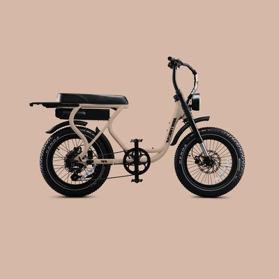 FR303XEN