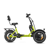 SpytanX Reverse Addmotor Golf Cargo Electric Trike 6 Months Free Service