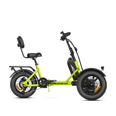 SpytanX Reverse Addmotor Golf Cargo Electric Trike 6 Months Free Service