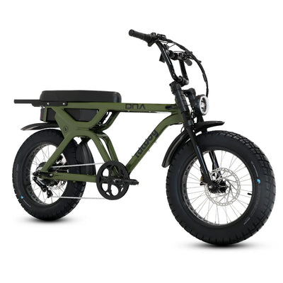 Fatboy The DNA V3 eBike 6 Months Free Service