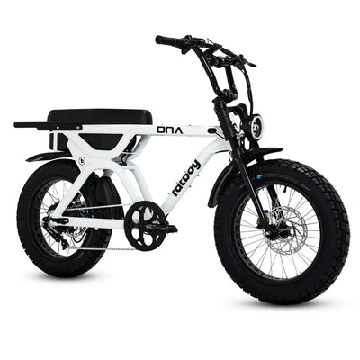 Fatboy The DNA V3 eBike 6 Months Free Service