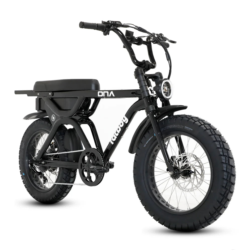 Fatboy The DNA V3 eBike 6 Months Free Service