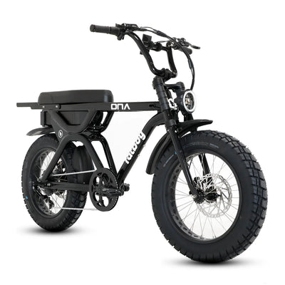 Fatboy The DNA V3 eBike 6 Months Free Service