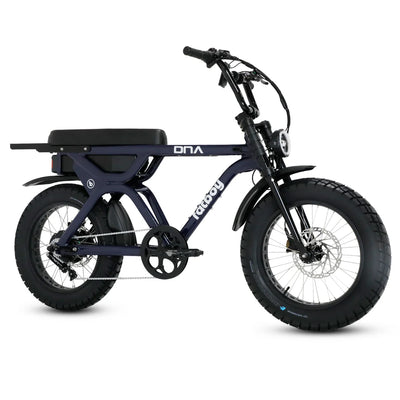 Fatboy The DNA V3 eBike 6 Months Free Service
