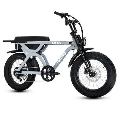 Fatboy The DNA V3 eBike 6 Months Free Service