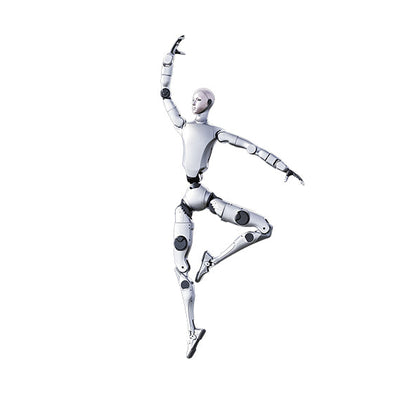 Unitree H2 Robotic Humanoid