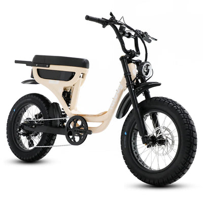 Fatboy The Harlem V3 eBike 6 Months Free Service