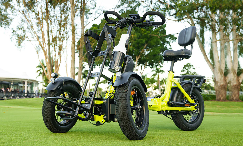 SpytanX Reverse Addmotor Golf Cargo Electric Trike 6 Months Free Service