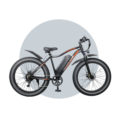 Thunder eBike 1000W Fat Wheel 48v14.5Ah 6 Months Free Service