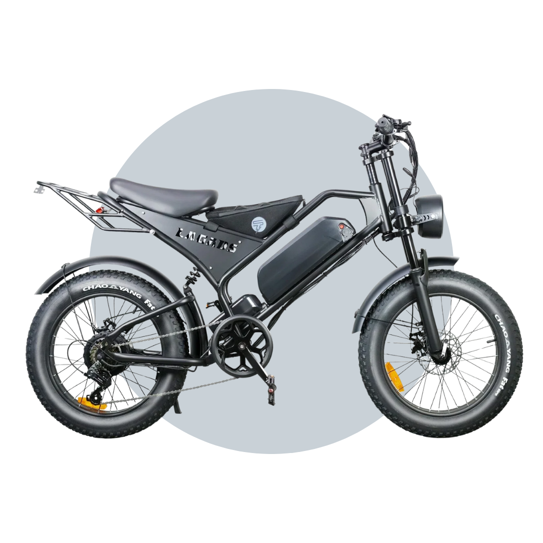 Titan ebike 15Ah eBike 48V1000W 6 Months Free Service
