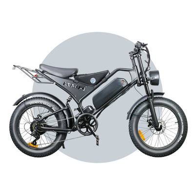 Titan ebike 15Ah eBike 48V1000W 6 Months Free Service