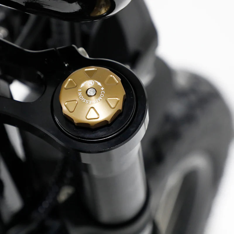 Fatboy The Harlem V3 eBike 6 Months Free Service