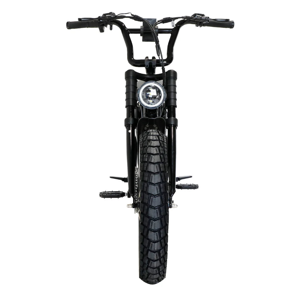Fatboy The DNA V3 eBike 6 Months Free Service