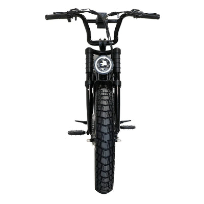 Fatboy The DNA V3 eBike 6 Months Free Service