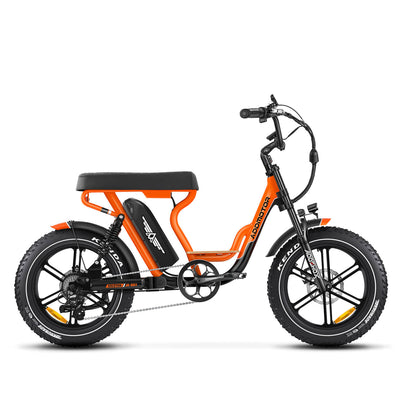 AddMotor Soletan M-66X Electric Bike 750W Samsung Battery 6 Months Free Service