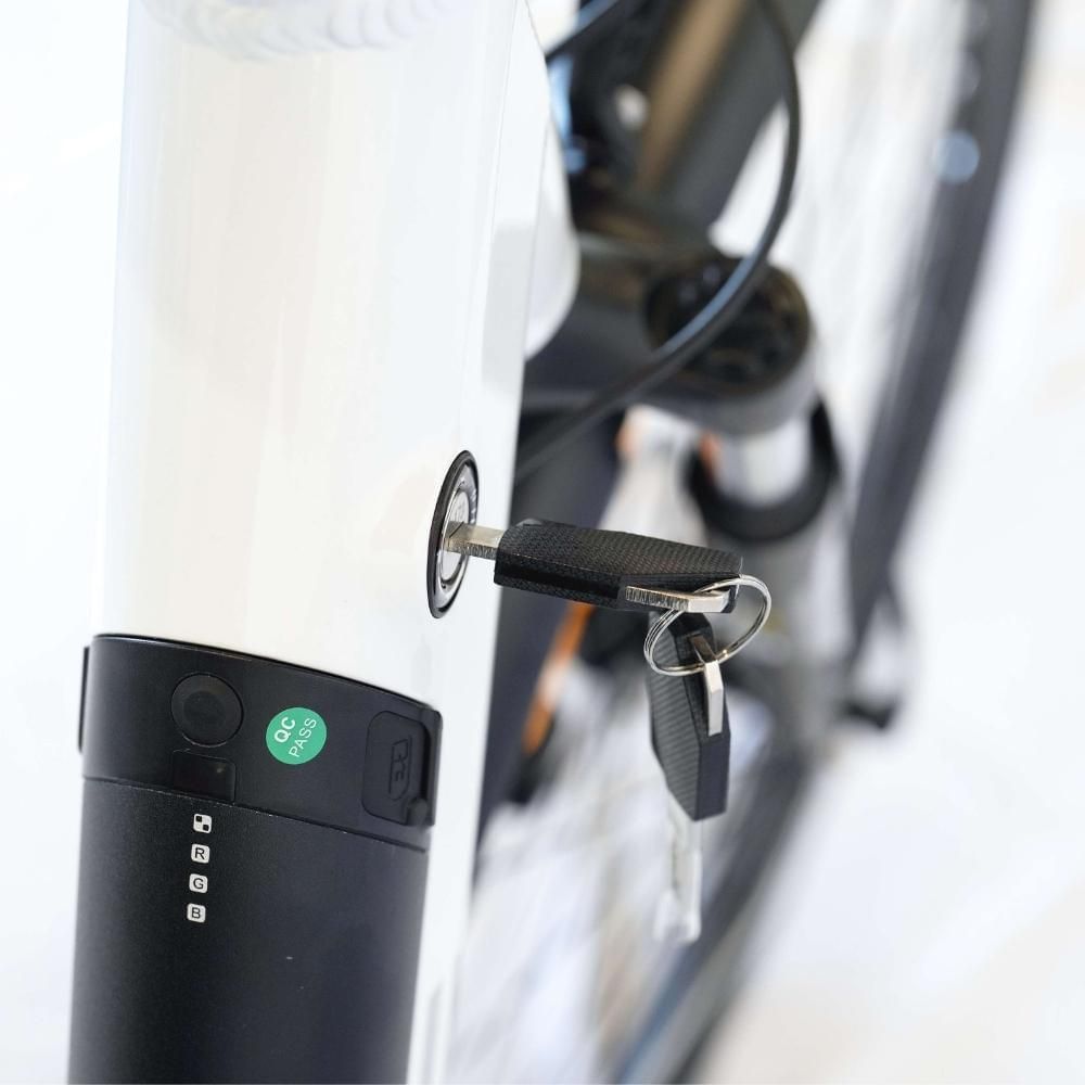 Electric Bike Veloz Forever Unisex step through 350 Watts  29"/700 Full  city equipment Six months free service - EOzzie Electric Vehicles
