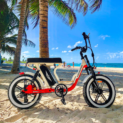 AddMotor FAT MATE M-66X Electric Bike 750W 170km Distance 6 Months Free Service