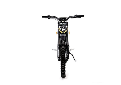 79BIKE-Lynx 12kW 40Ah Ebike six months service