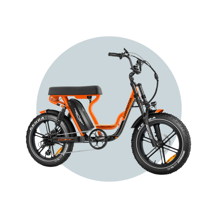 AddMotor Soletan M-66X Electric Bike 500W-750W Samsung Battery Month