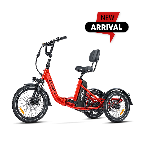 Addmotor Citytri E-310 Mini Foldable Electric Trike 6 months Free Service