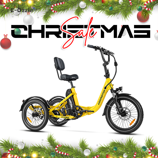 Addmotor Citytri E-310 Foldable Electric Trike 6 months Free Service