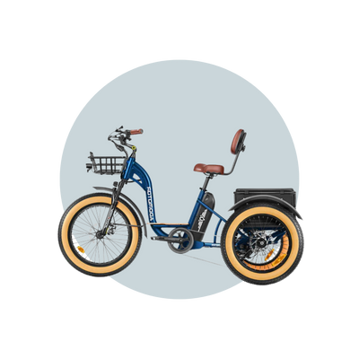 Addmotor Grandtan II Fat Tyre Electric Trike FREE Front Rack+Mirrors+Rear Bag 6 Months Free Service