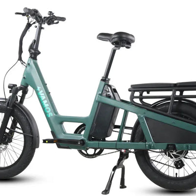 Amigo Plus 2025 - All-Purpose Passenger Commuter E-Bike