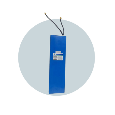 BATTERY - DRAGON X9 48V 13AH