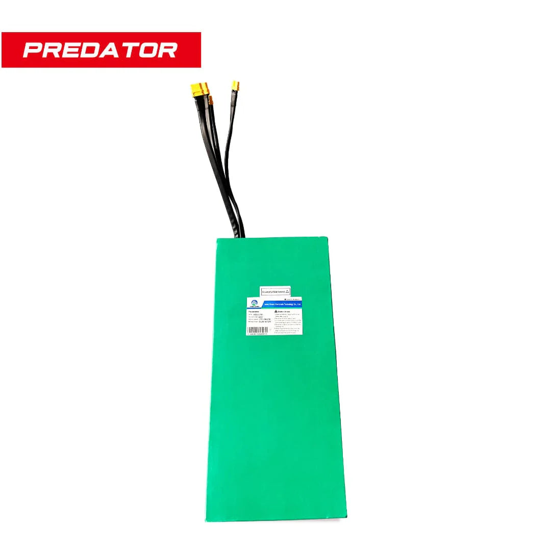 BATTERY - DRAGON PREDATOR 60V 25.2AH