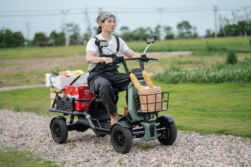 BEST SELLING 4 WHEELS CARGO SCOOTER