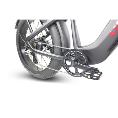 Vamos Electric Bike Model EL HEFE DUAL MOTOR All Terrain 200 kilos Load 750Watts Motor 6 Month Free Service