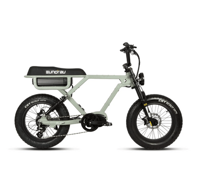 Eunorau Flash eBike 1000W Mid-Motor 16Ah Battery 6 Months Free Service
