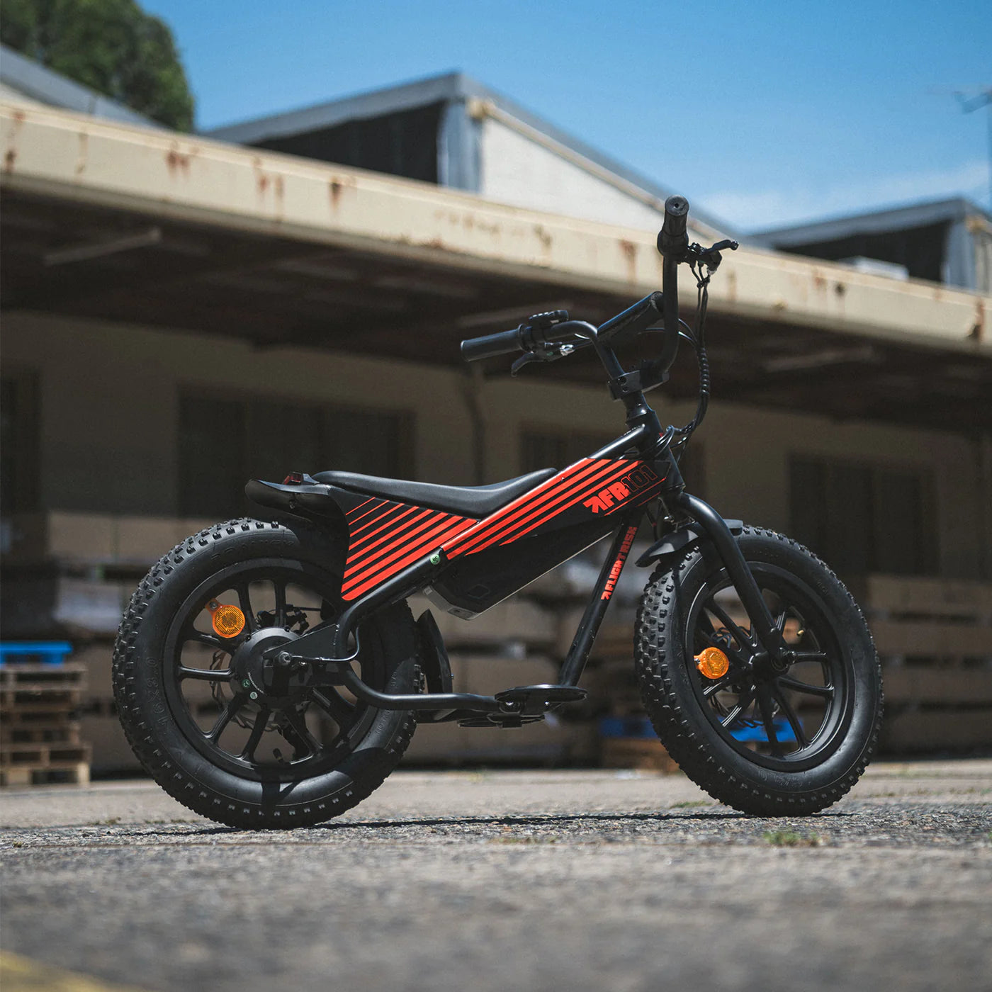 Flight Risk FR101 eBike 6 Months Free Service