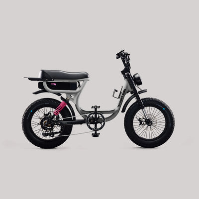 Flight Risk FR333 eBike  6 Months Free Service - SILVER