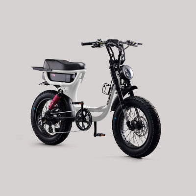 Flight Risk FR333 eBike  6 Months Free Service - WHITE