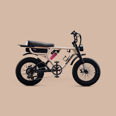 Flight Risk FR555 eBike  6 Months Free Service - Champagne