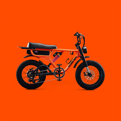 Flight Risk FR555 eBike  6 Months Free Service - Orange