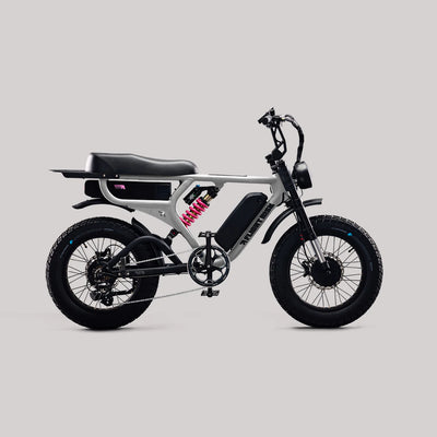 Flight Risk FR777 eBike 6 Months Free Service - SILVER
