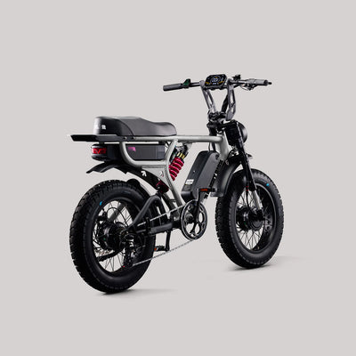 Flight Risk FR777 eBike 6 Months Free Service - SILVER