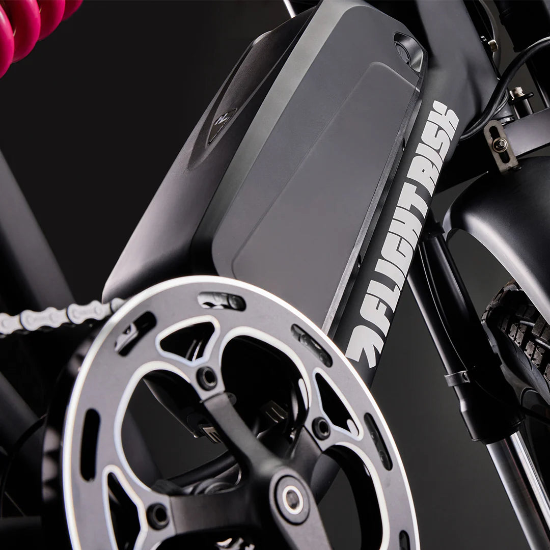 Flight Risk FR777 eBike 6 Months Free Service - SILVER