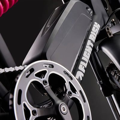 Flight Risk FR777 eBike 6 Months Free Service - SILVER