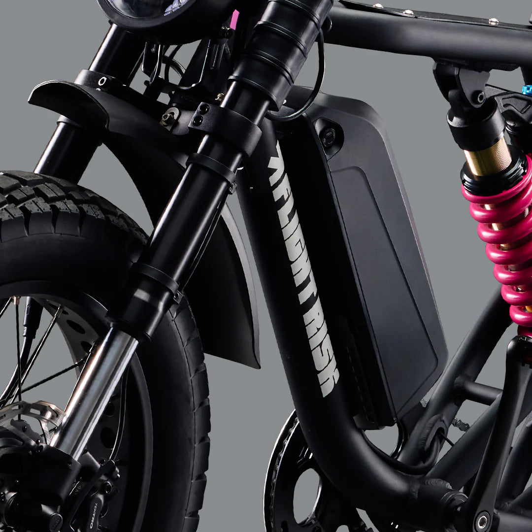 Flight Risk FR777 eBike 6 Months Free Service - SILVER
