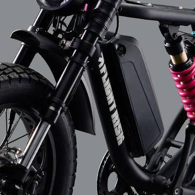 Flight Risk FR777 eBike 6 Months Free Service - SILVER