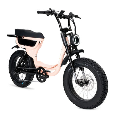 FatBoy Harlem V2 eBike 6 Months Free Service