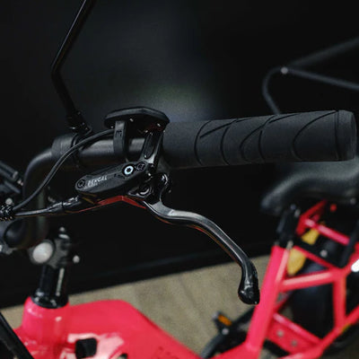 Benzina Zero HAULeR Electric Bike