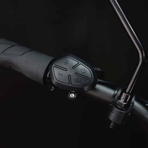 Benzina Zero HAULeR Electric Bike