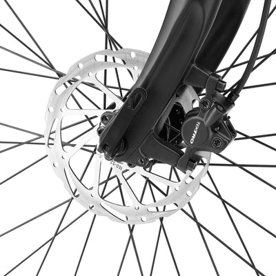 ICON EB-ONE Step Thru